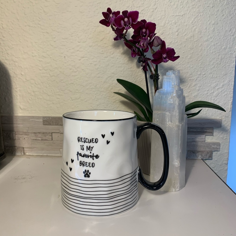Rescued is my Favorite Breed Mug 🐶🐱☕️